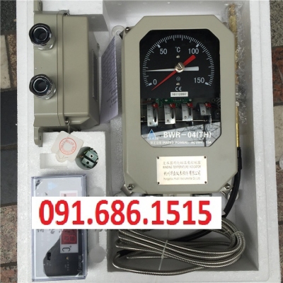 Đồng hồ đo nhiệt độ cuộn dây máy biến áp lực, Hangzhou Huali BWR-04, BWR-04(TH)